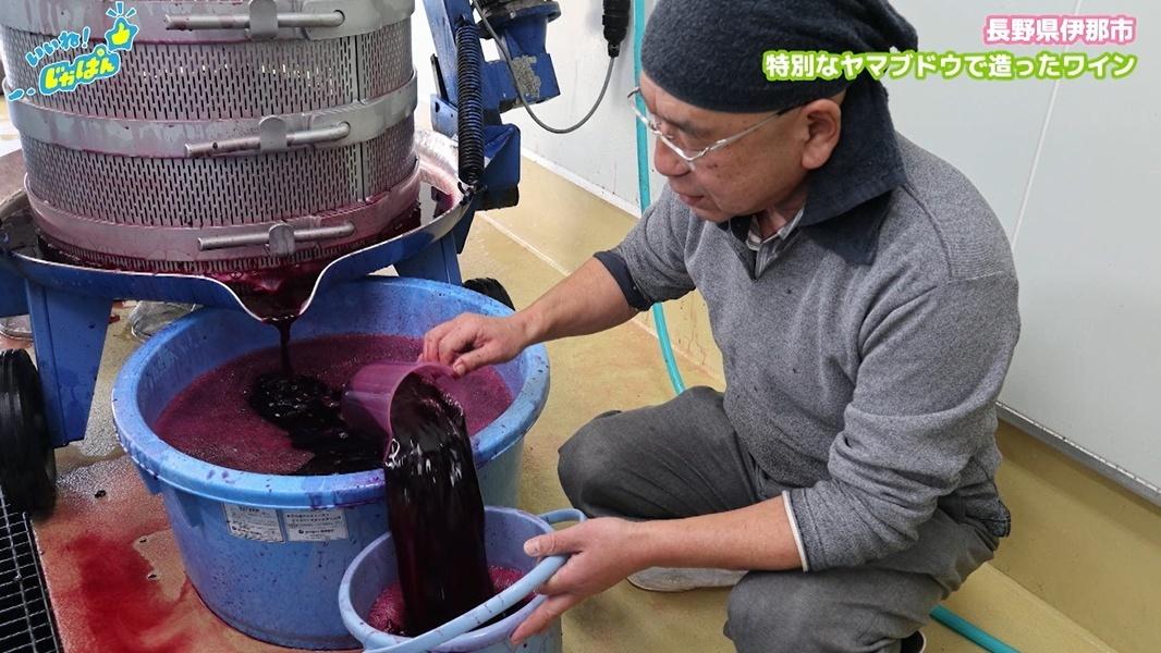 【日本一の給食の秘密】アルプスの恵みで育った米や野菜が地元と大都市の子供を繋ぐ