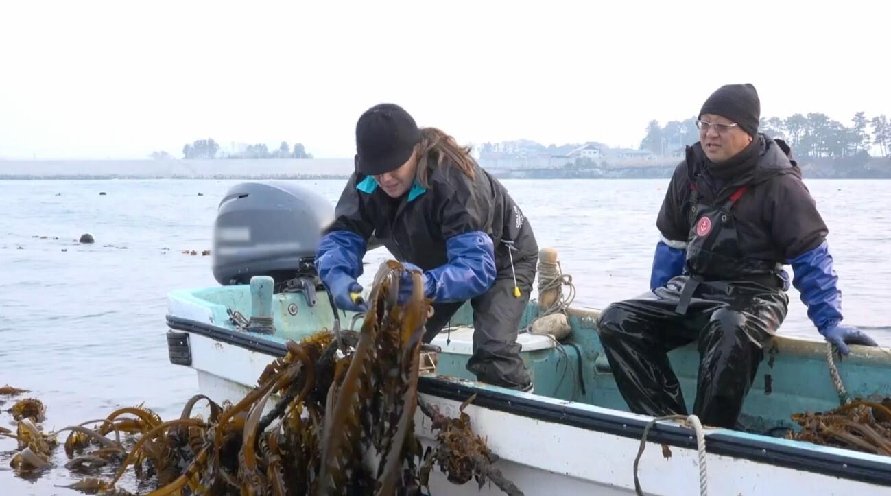 天然わかめの潜水漁に同行!初めての“めかぶ”をしゃぶしゃぶで豪快に!:世界!ニッポン行きたい人応援団