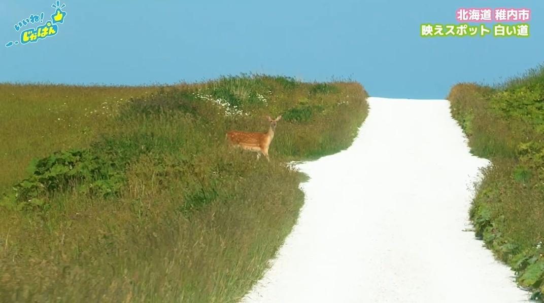 「いいね!ジャパン」北海道稚内市・利尻島