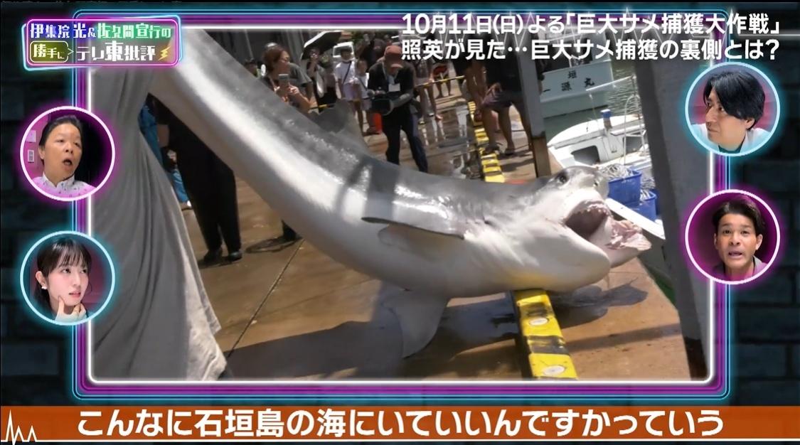 テレ東批評