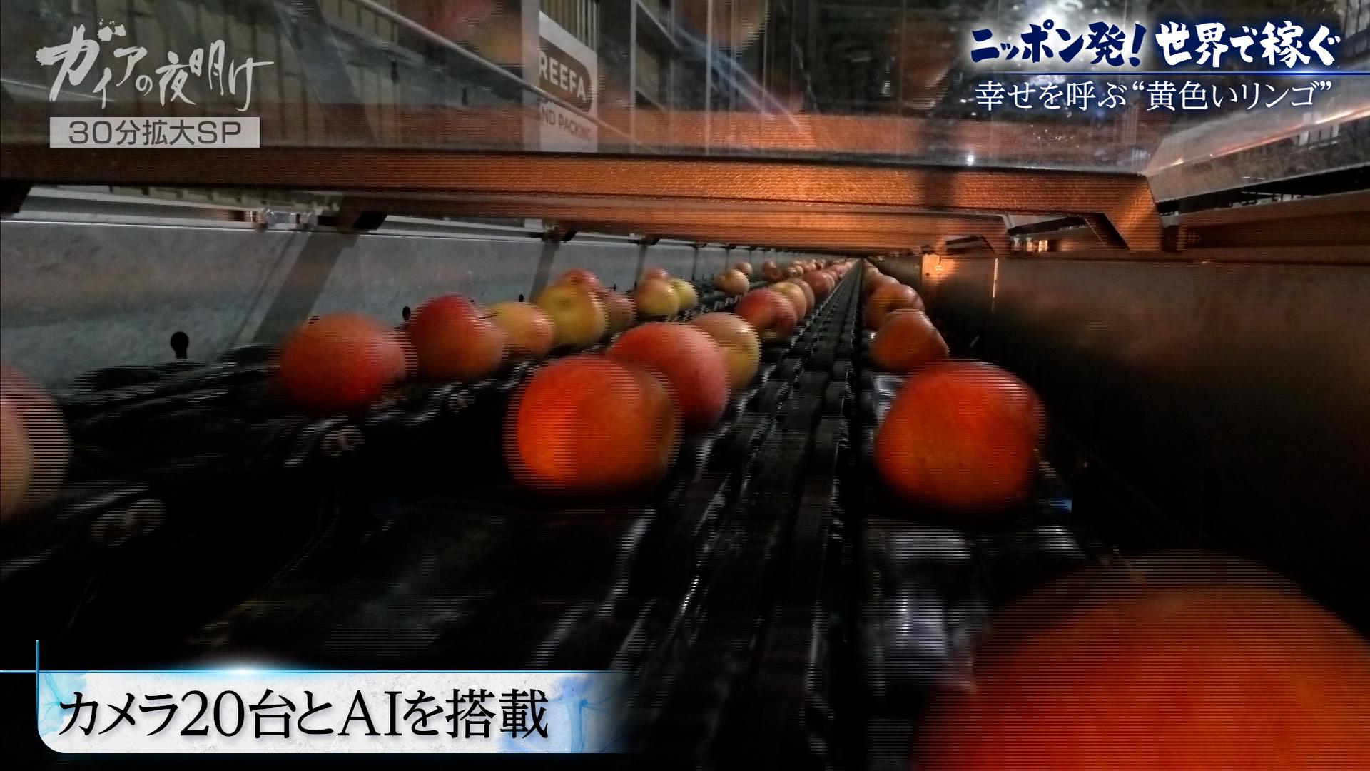 ガイアの夜明け