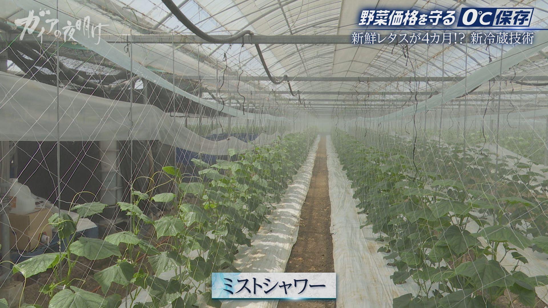 記事画像