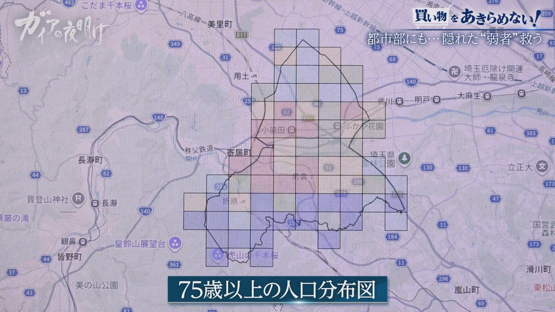 ガイア