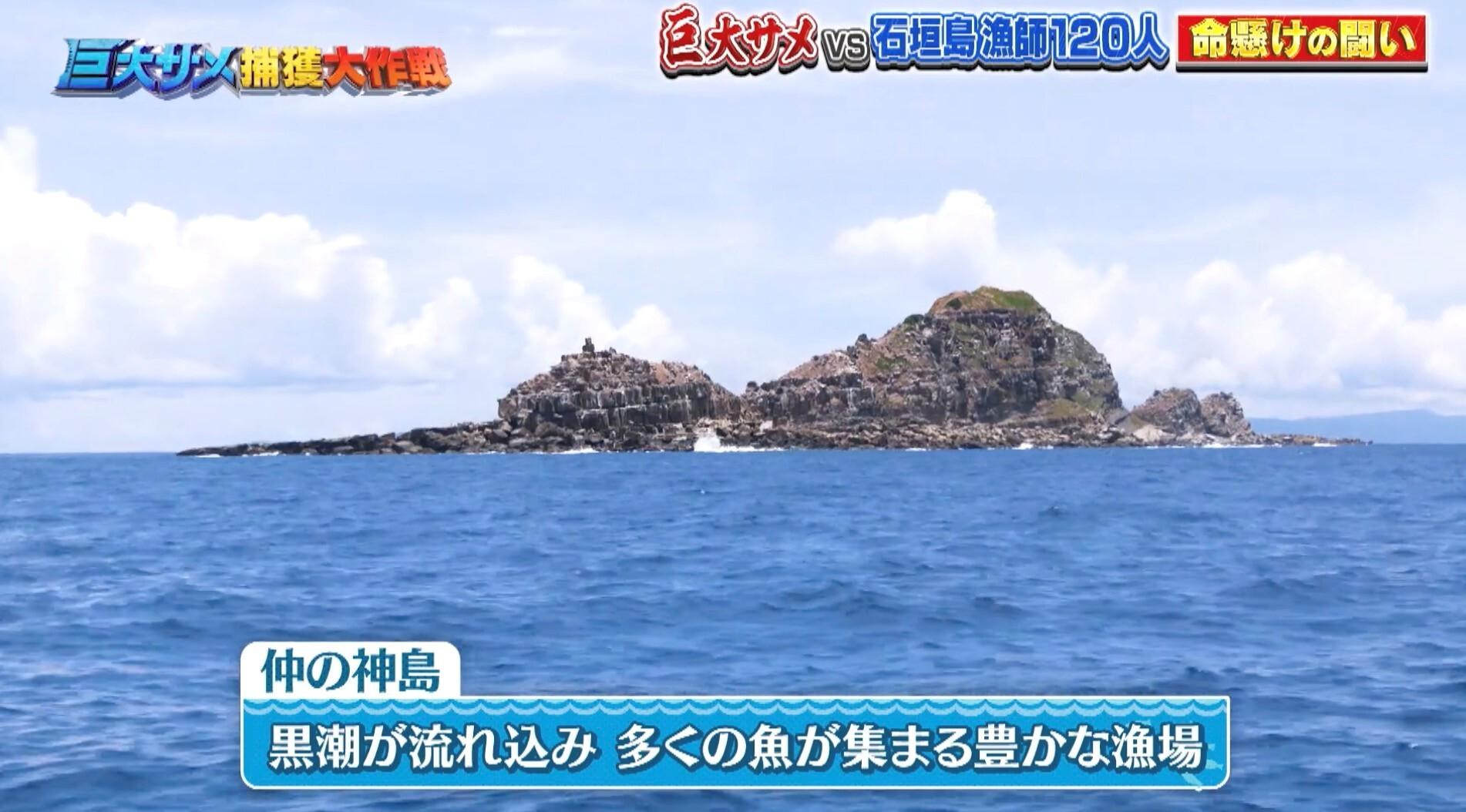 記事画像
