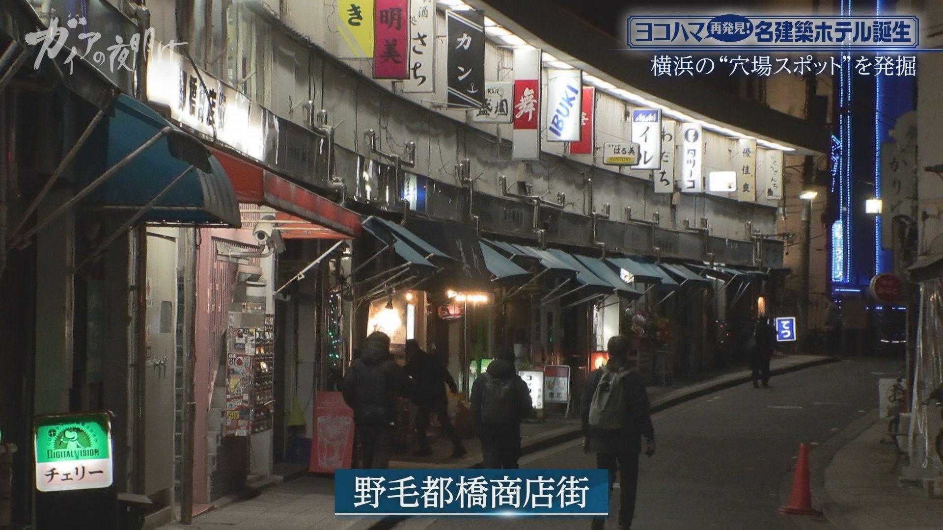 ガイアの夜明け