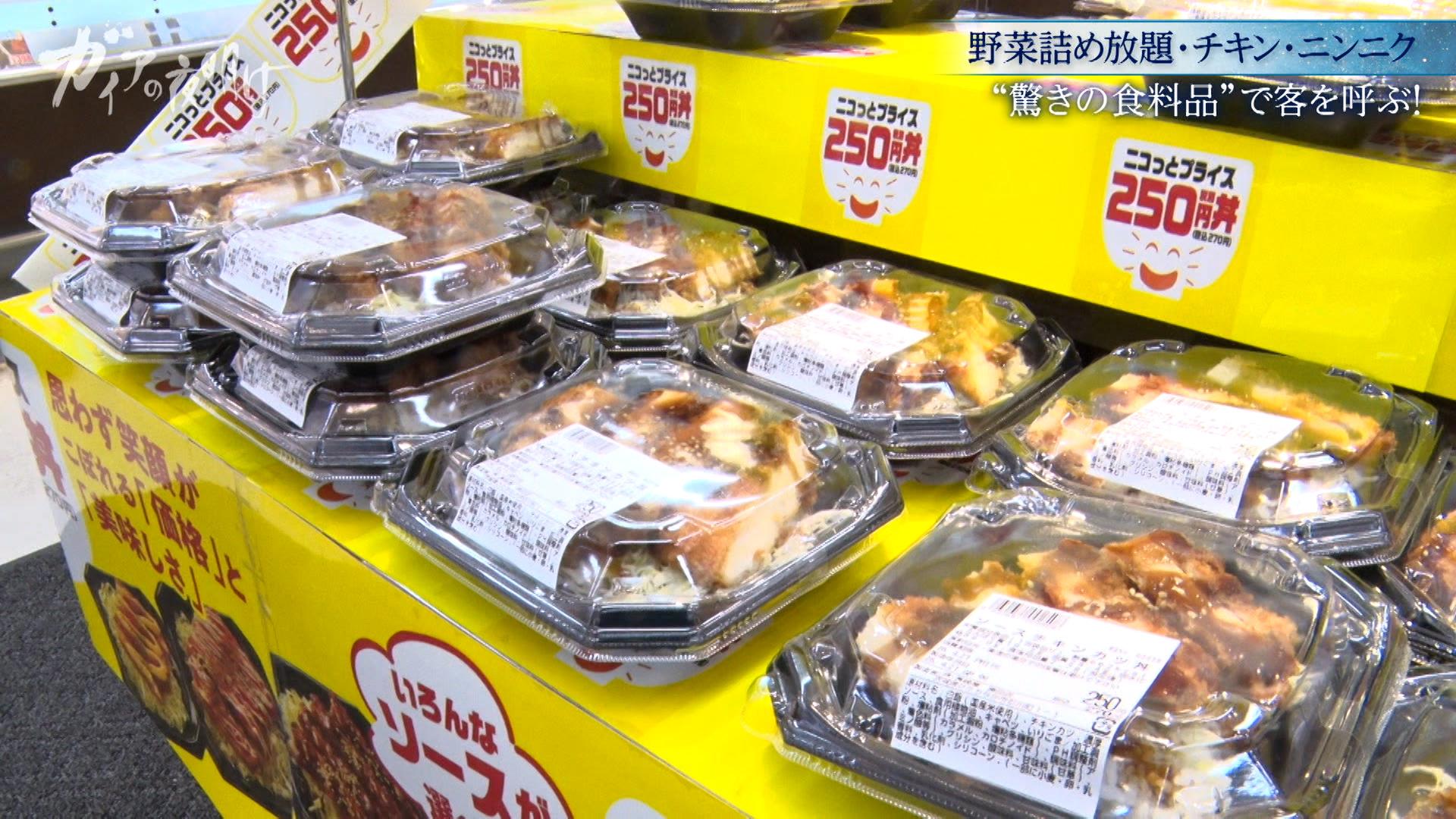 ガイアの夜明け