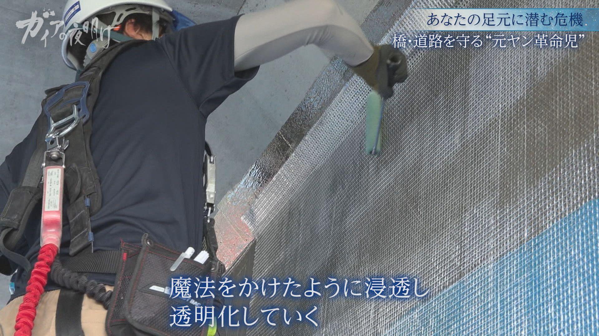 ガイアの夜明け