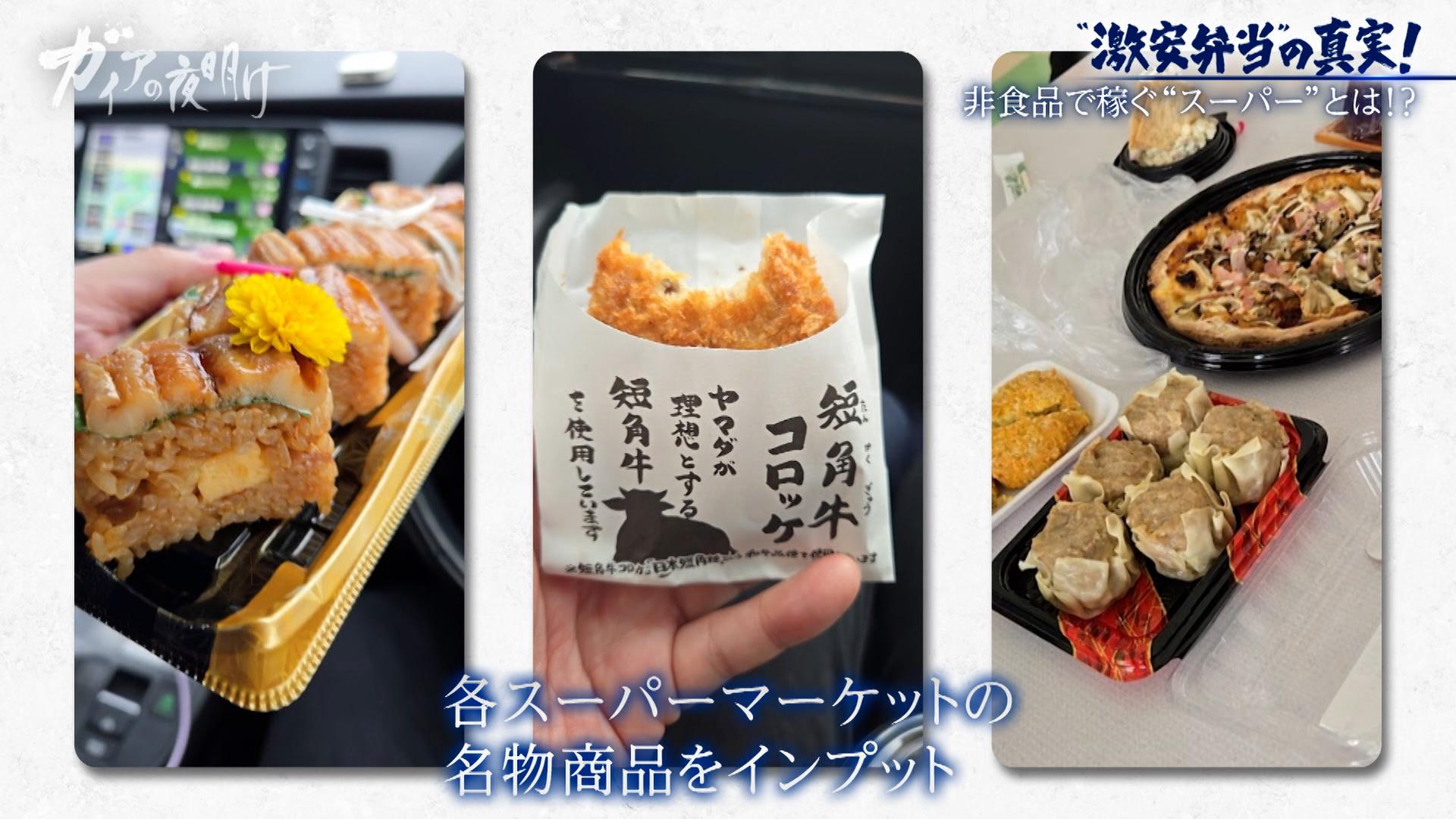 ガイアの夜明け