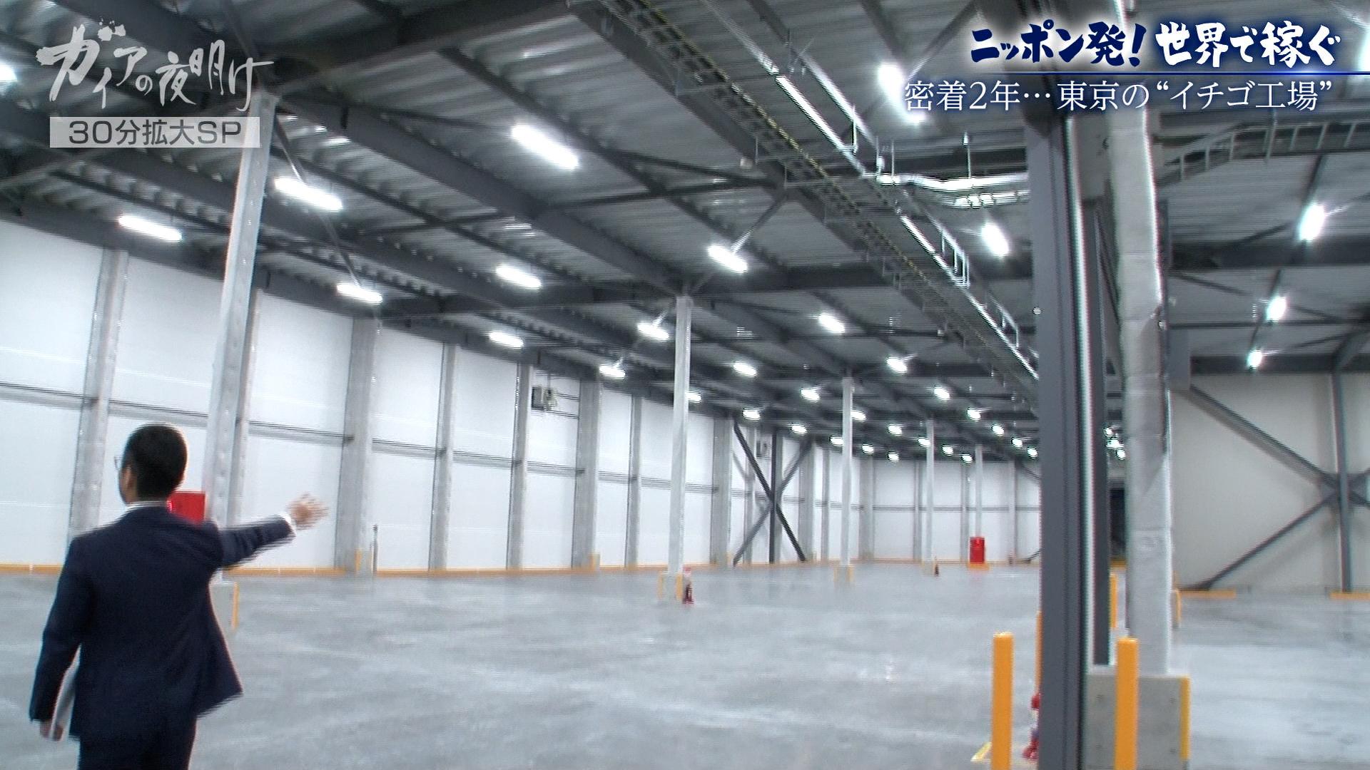 ガイアの夜明け