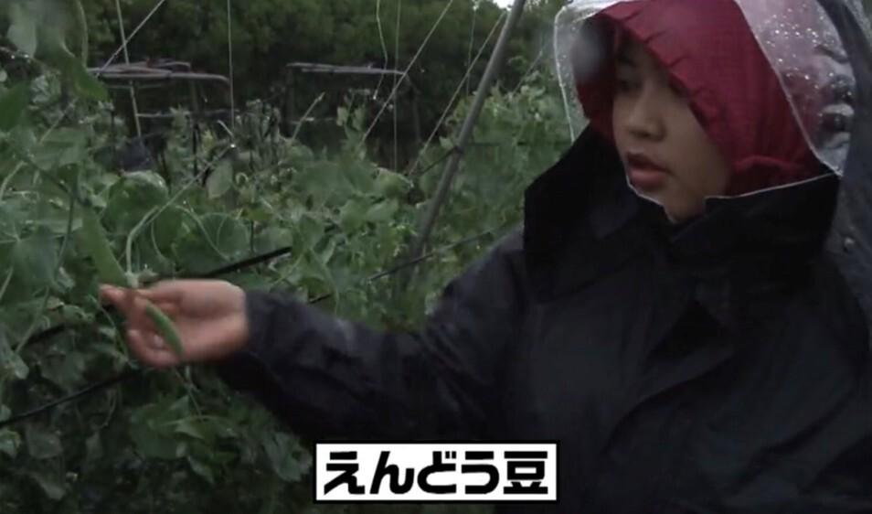 記事画像