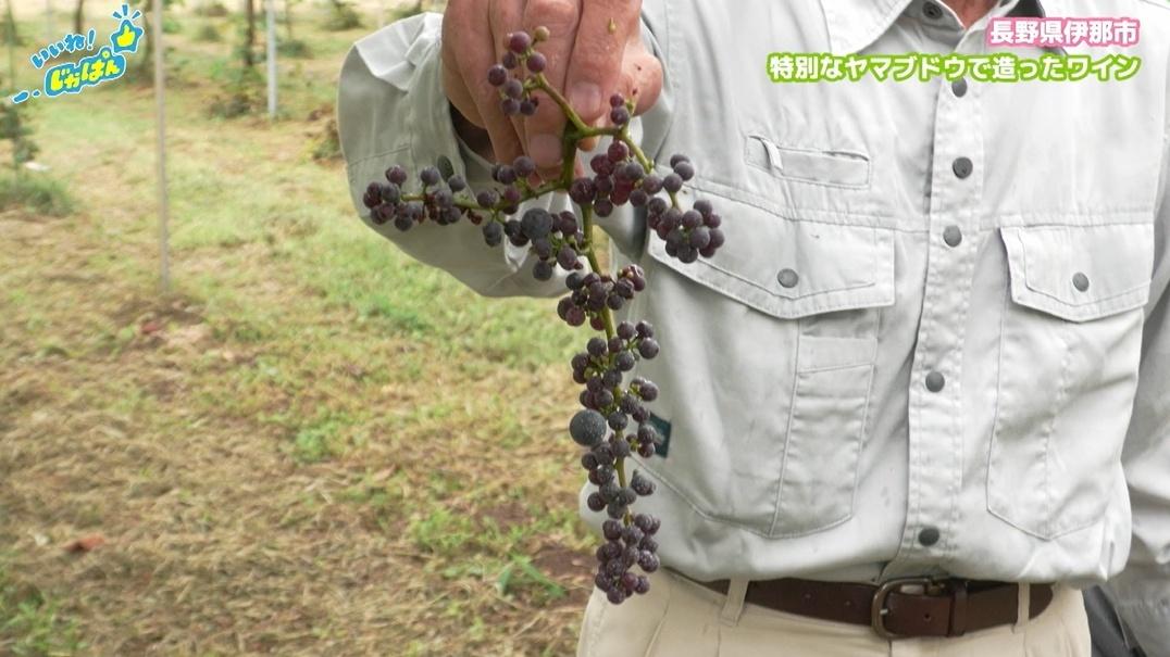 【日本一の給食の秘密】アルプスの恵みで育った米や野菜が地元と大都市の子供を繋ぐ