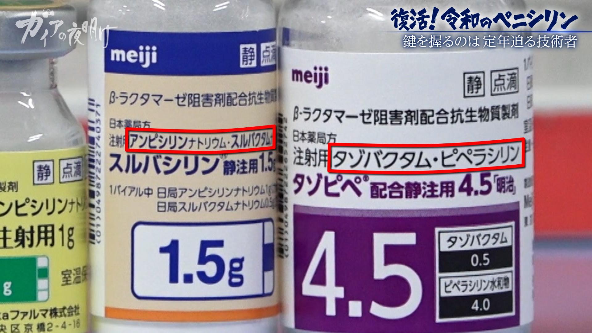 【薬の中国依存から脱却へ】30年ぶりに復活する「国産ペニシリン」製造の舞台裏：ガイアの夜明け