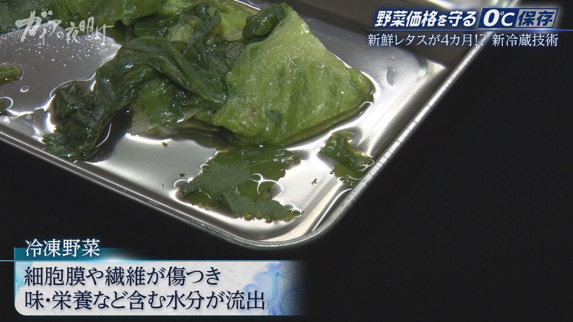記事画像