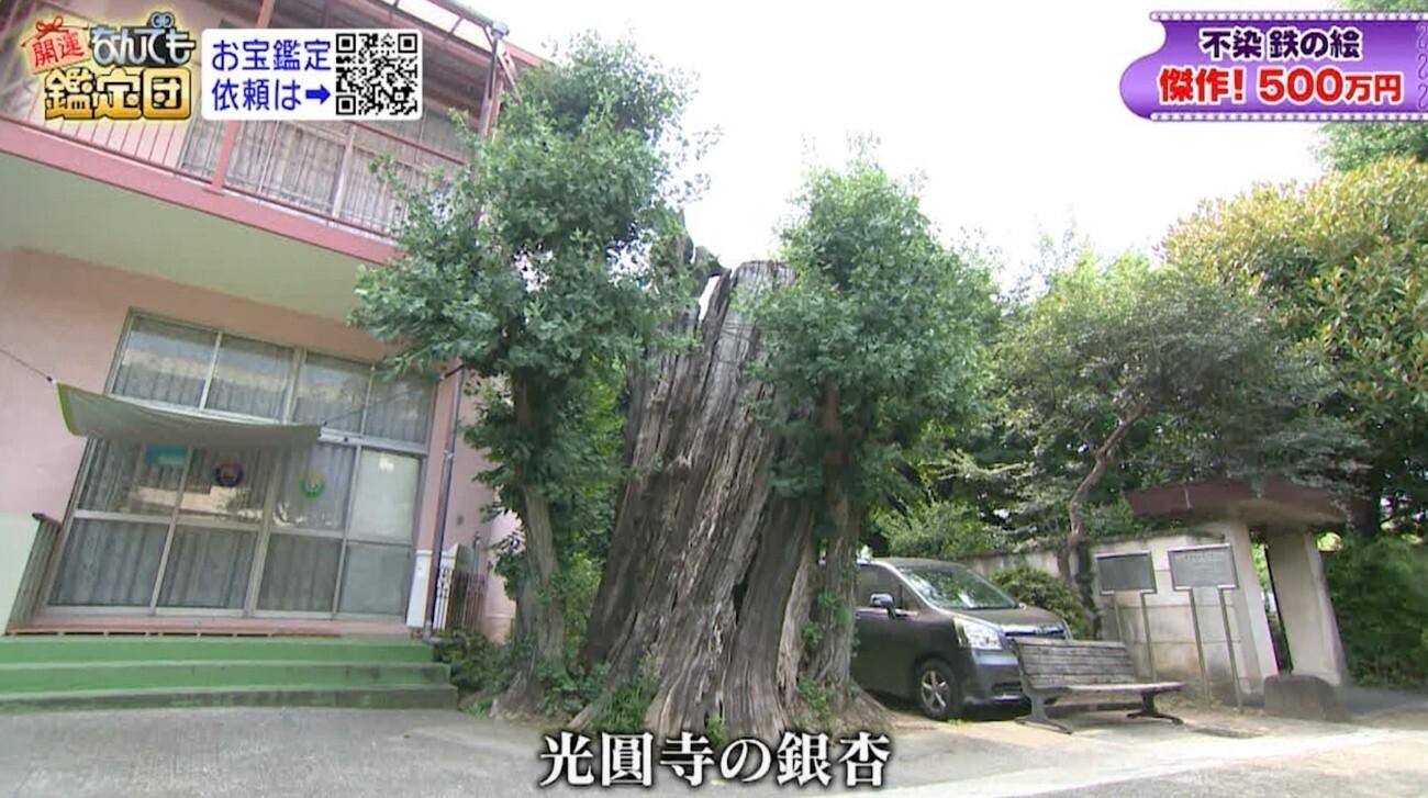 記事画像