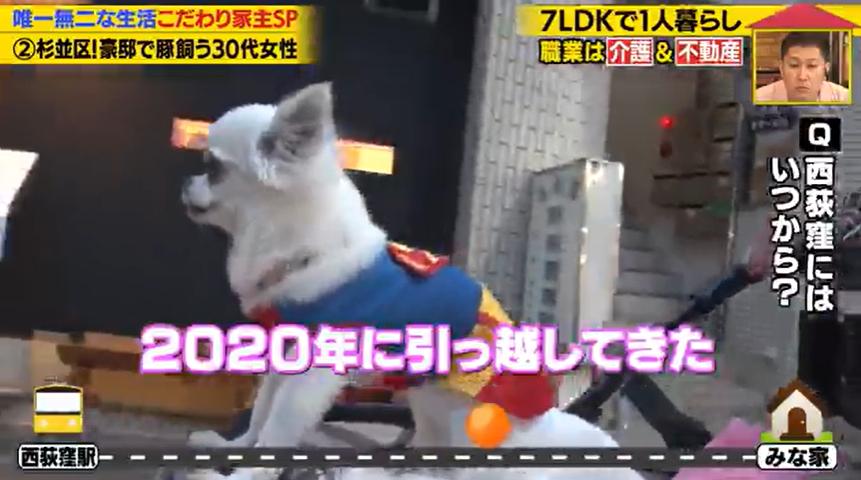 家、ついて行ってイイですか?