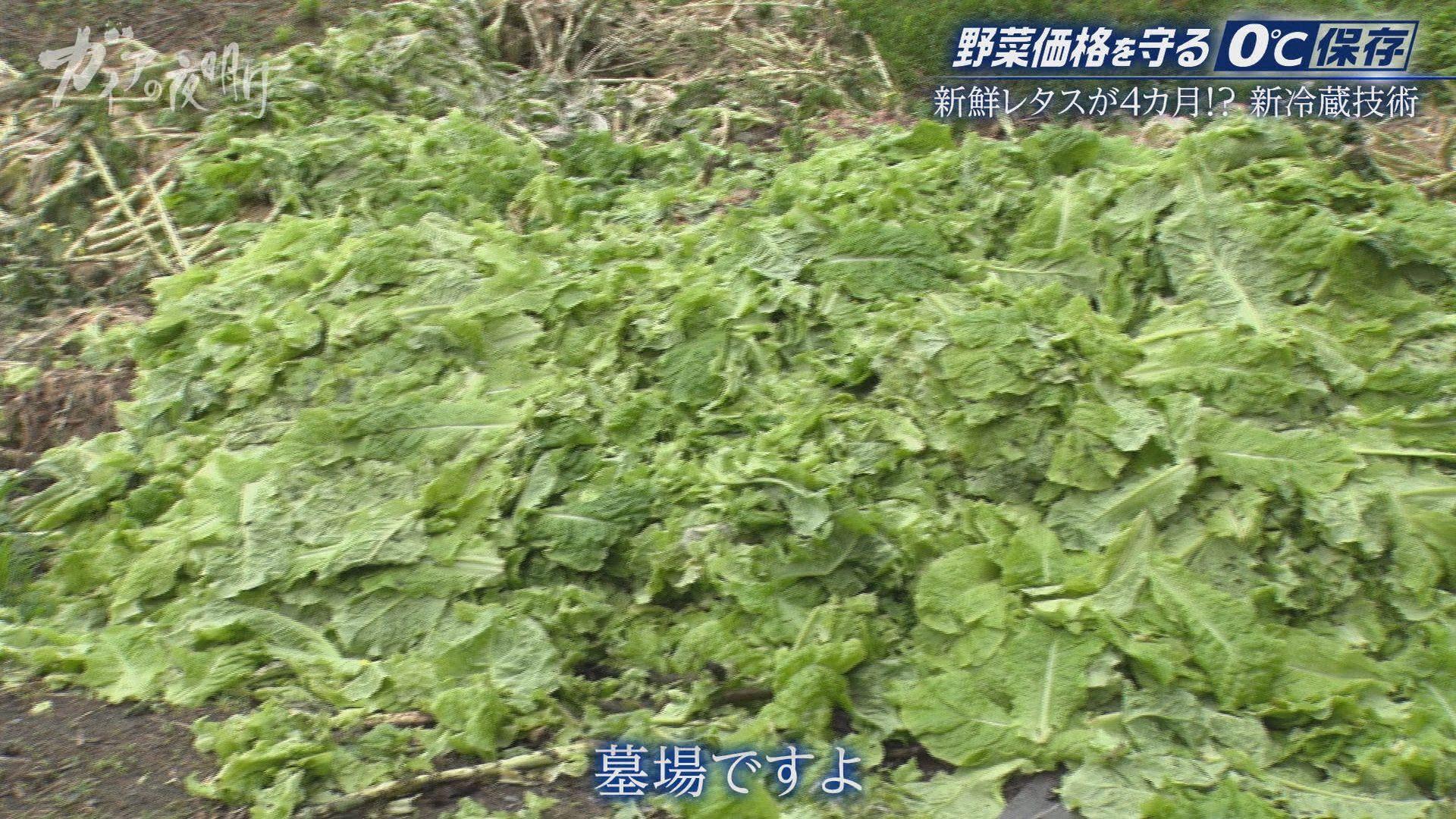記事画像