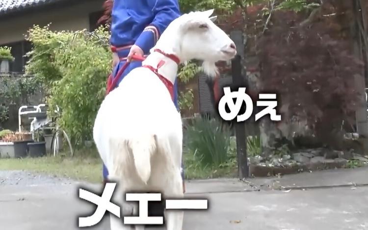 M－1狙っちゃう！？千鳥にも負けない息ピッタリの掛け合い！今回の追い