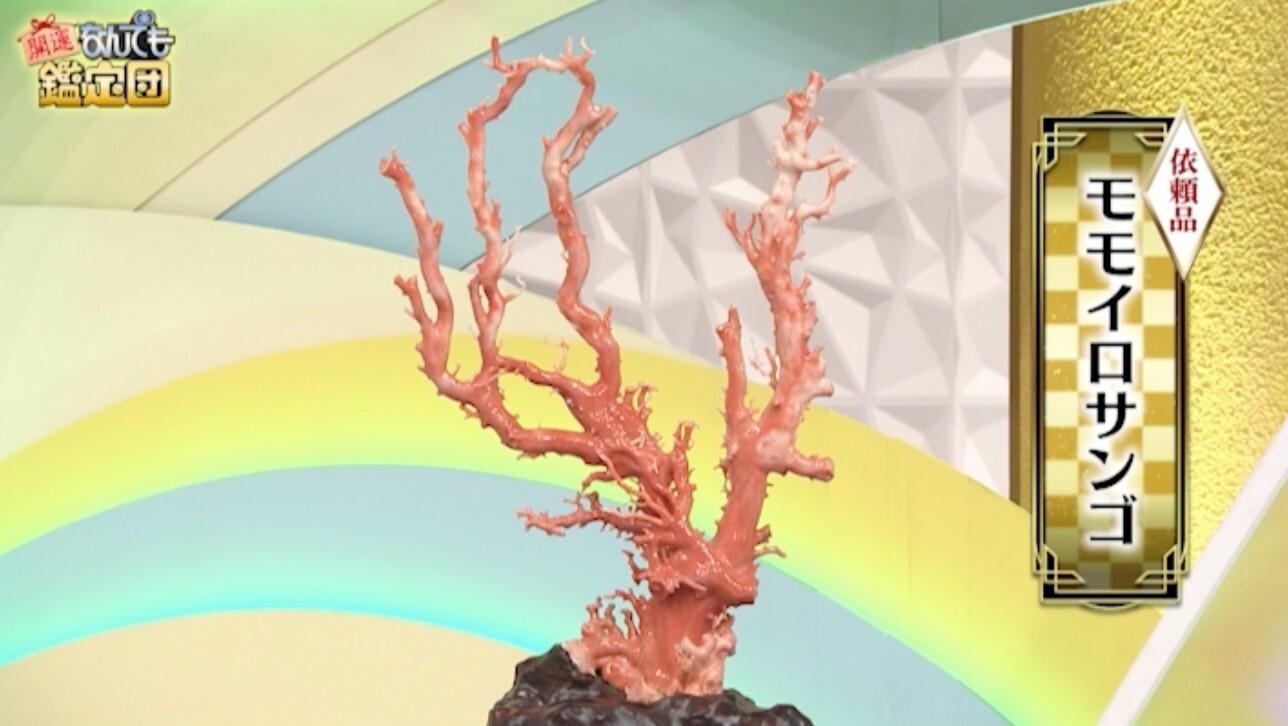 記事画像