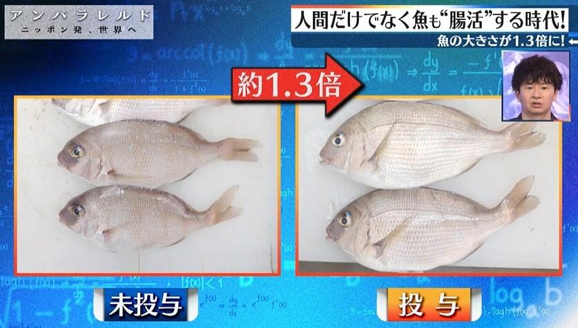 記事画像