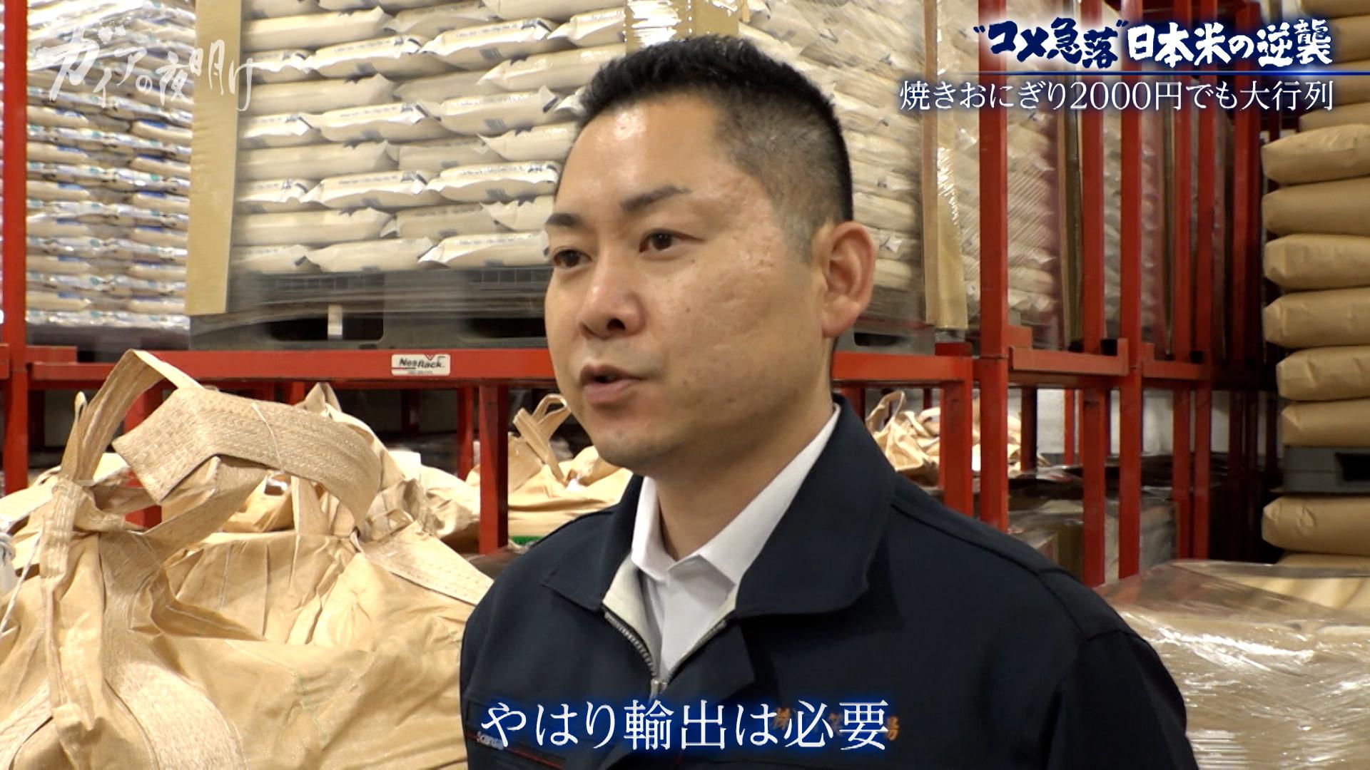 新米が2600円台…【コメ余り】価格急落に振り回される農家の悲鳴:ガイアの夜明け