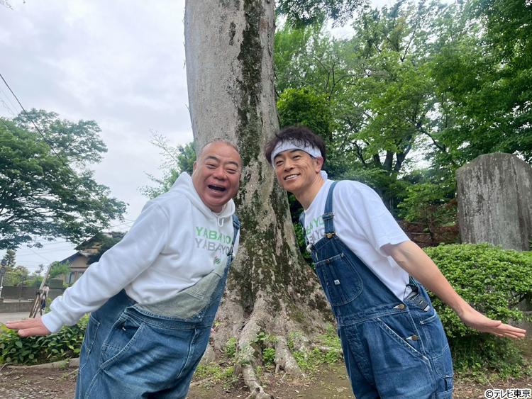 記事画像