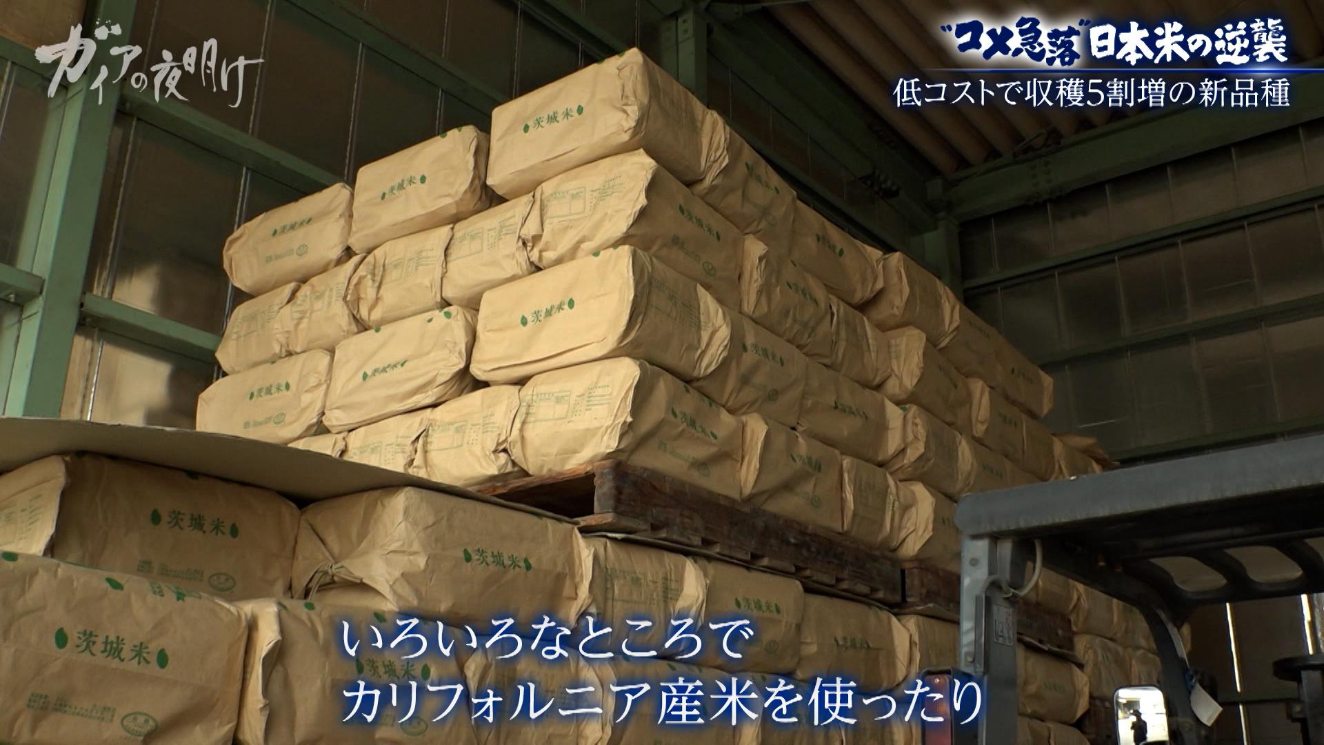 新米が2600円台…【コメ余り】価格急落に振り回される農家の悲鳴:ガイアの夜明け