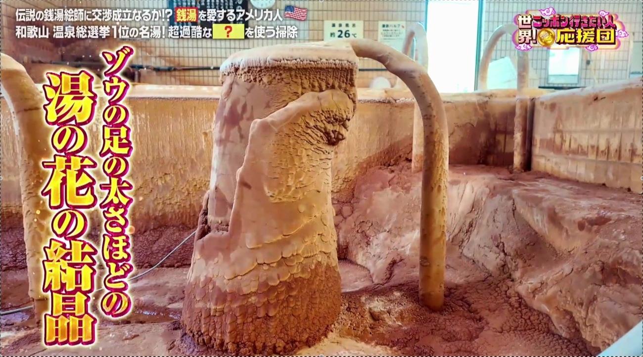 世界!ニッポン行きたい人応援団