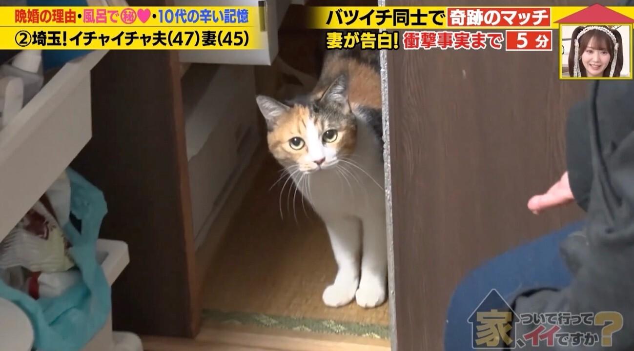 家、ついて行ってイイですか?