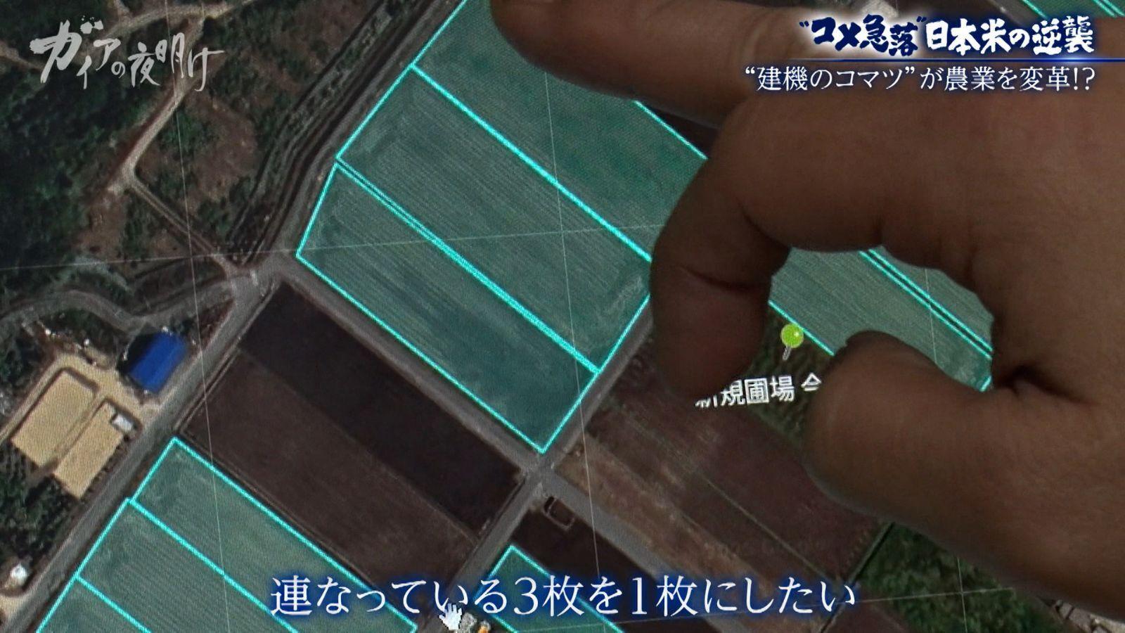 新米が2600円台…【コメ余り】価格急落に振り回される農家の悲鳴:ガイアの夜明け