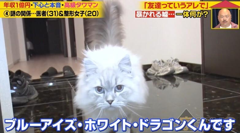 記事画像