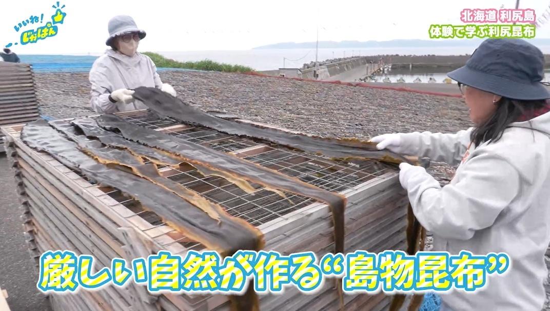 「いいね!ジャパン」北海道稚内市・利尻島