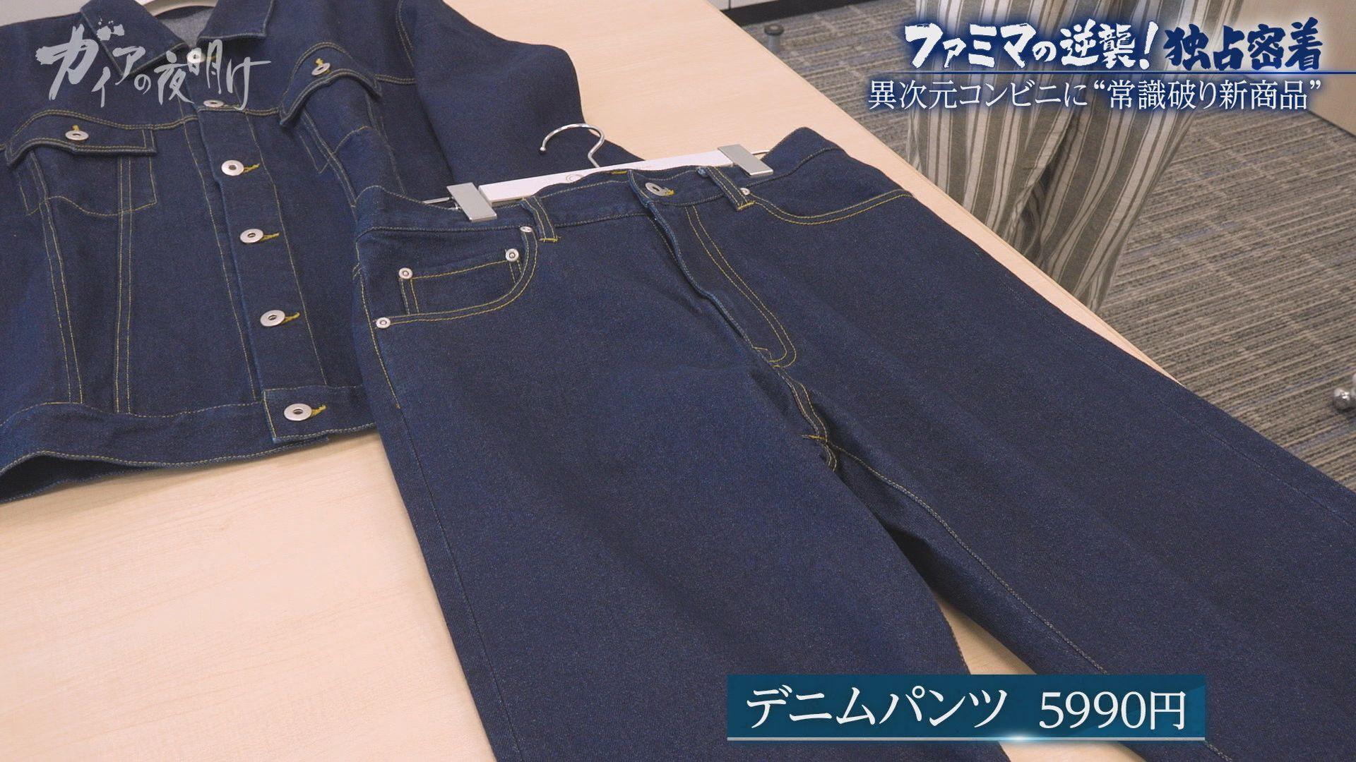 ガイアの夜明け