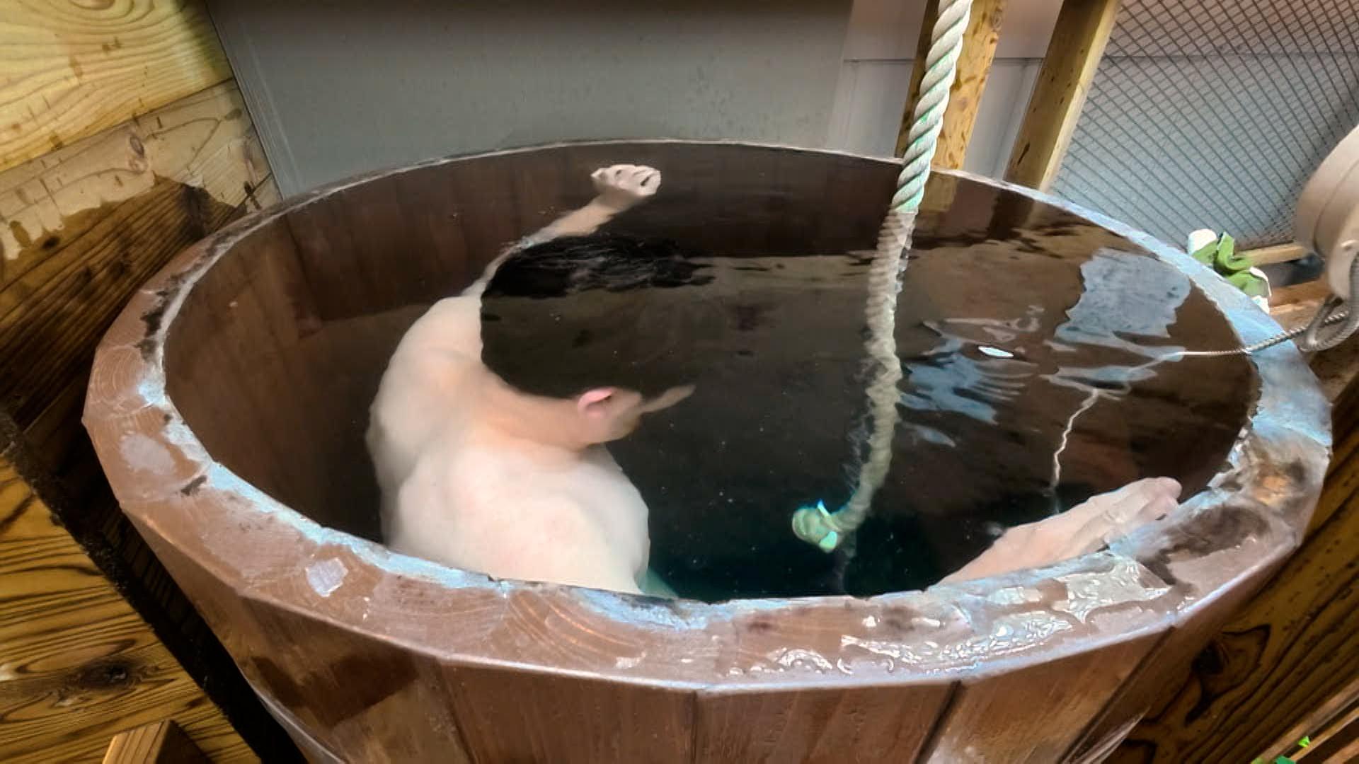 記事画像