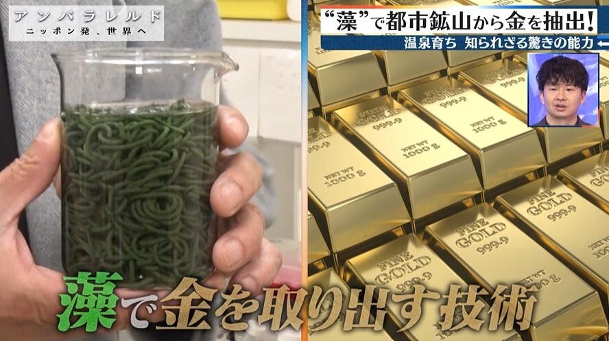 記事画像