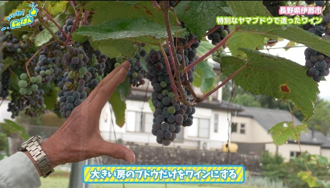 【日本一の給食の秘密】アルプスの恵みで育った米や野菜が地元と大都市の子供を繋ぐ