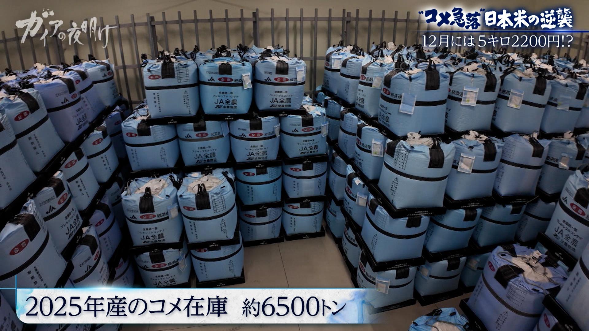 新米が2600円台…【コメ余り】価格急落に振り回される農家の悲鳴:ガイアの夜明け