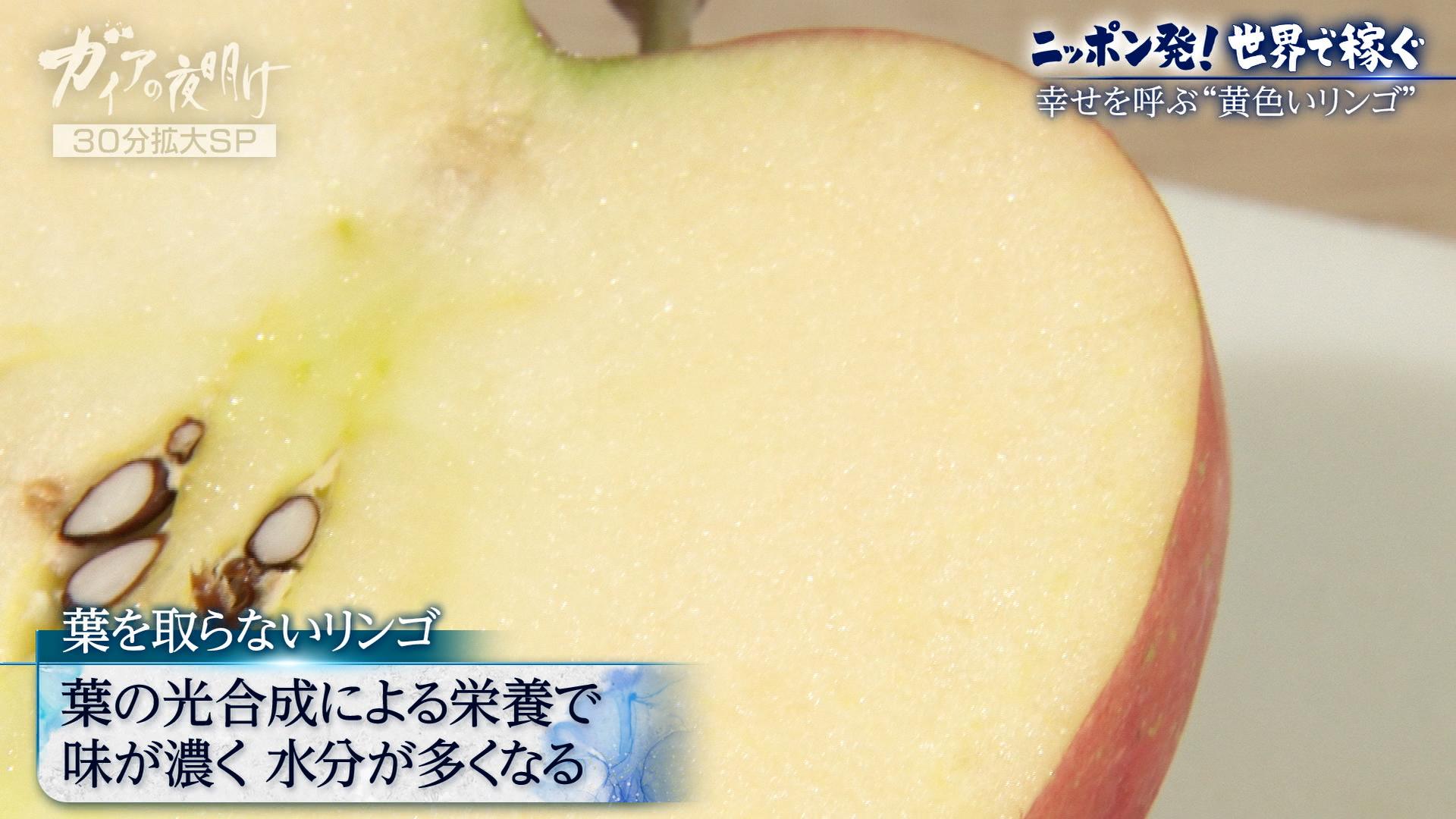ガイアの夜明け