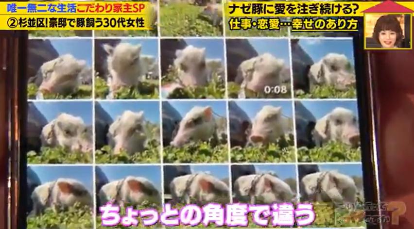 家、ついて行ってイイですか?