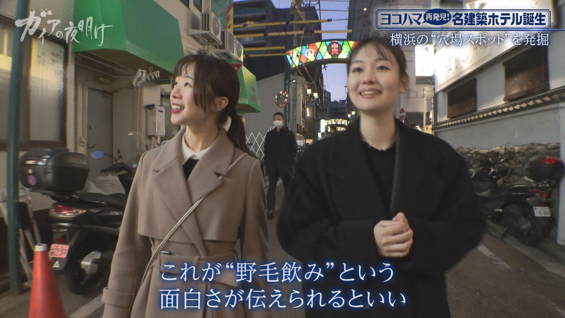ガイアの夜明け