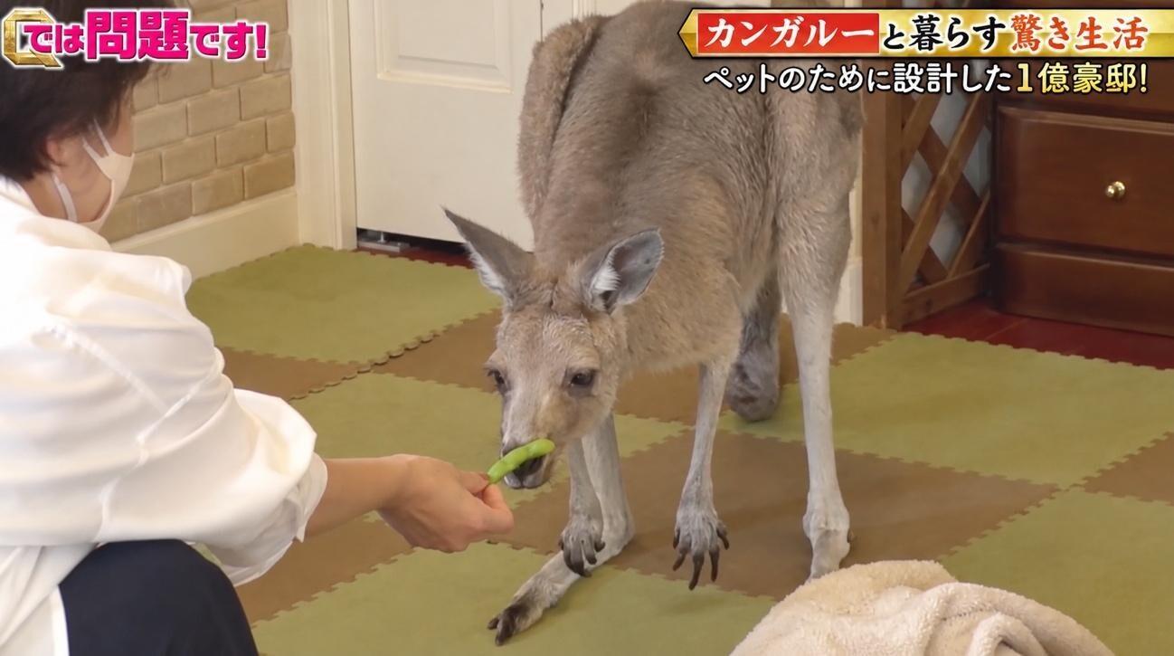 記事画像