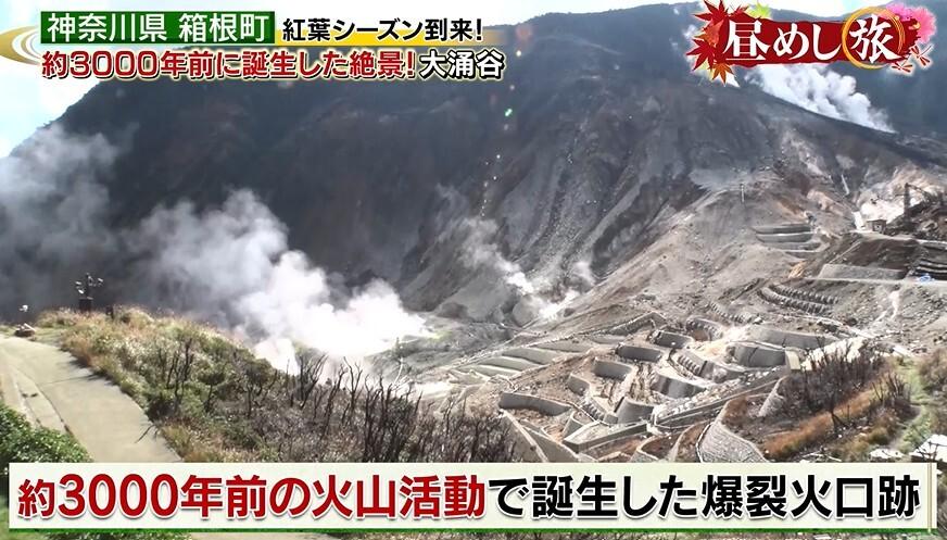 記事画像