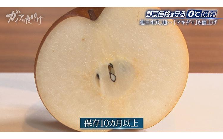 キュウリやトマト…夏野菜が高騰！農家を救う「0℃保存」新冷蔵技術とは