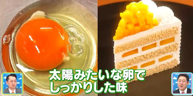 記事画像