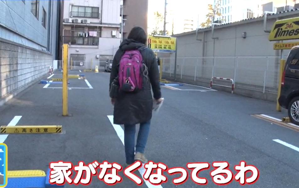 YOUは何しに日本へ?