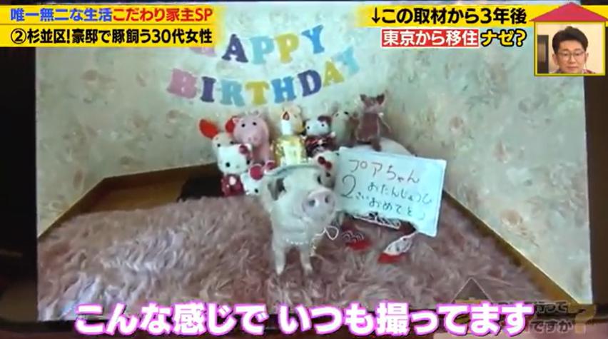 家、ついて行ってイイですか?