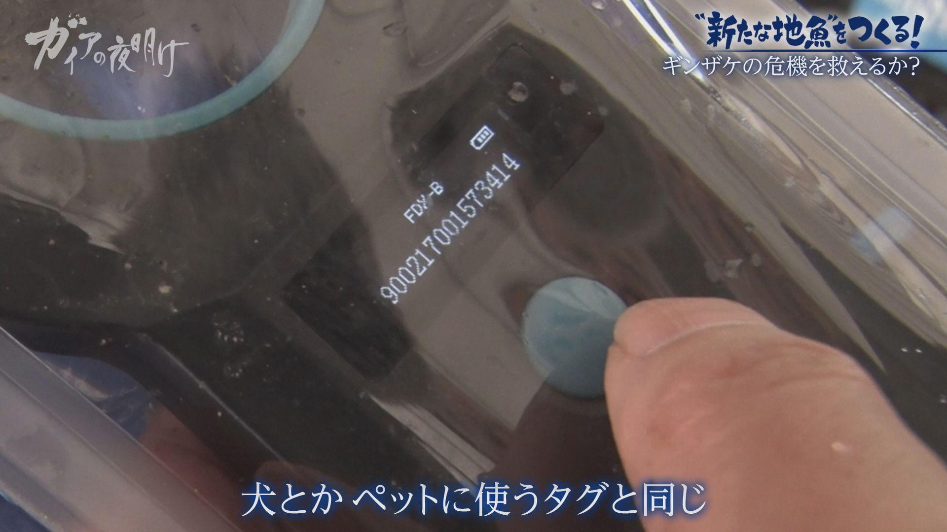 記事画像