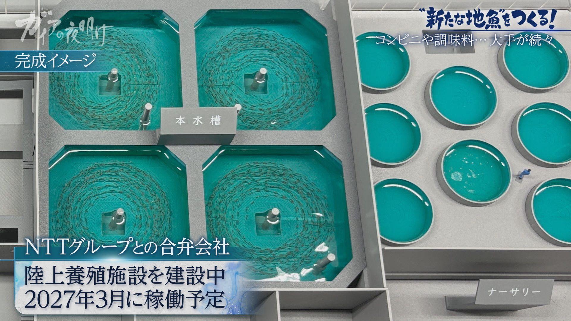 記事画像