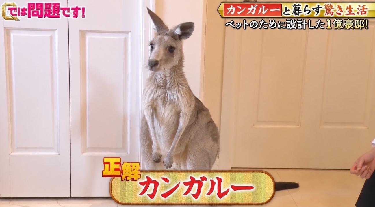 記事画像