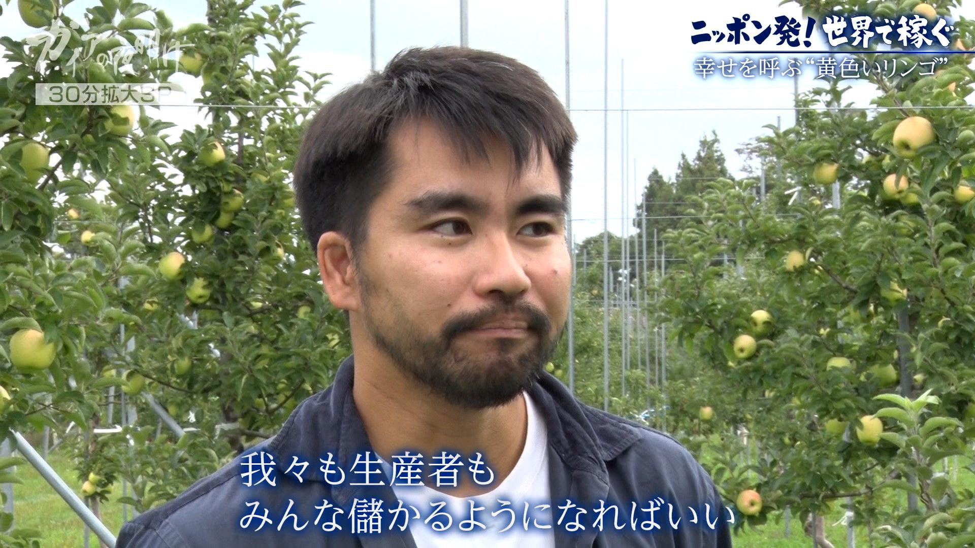 ガイアの夜明け