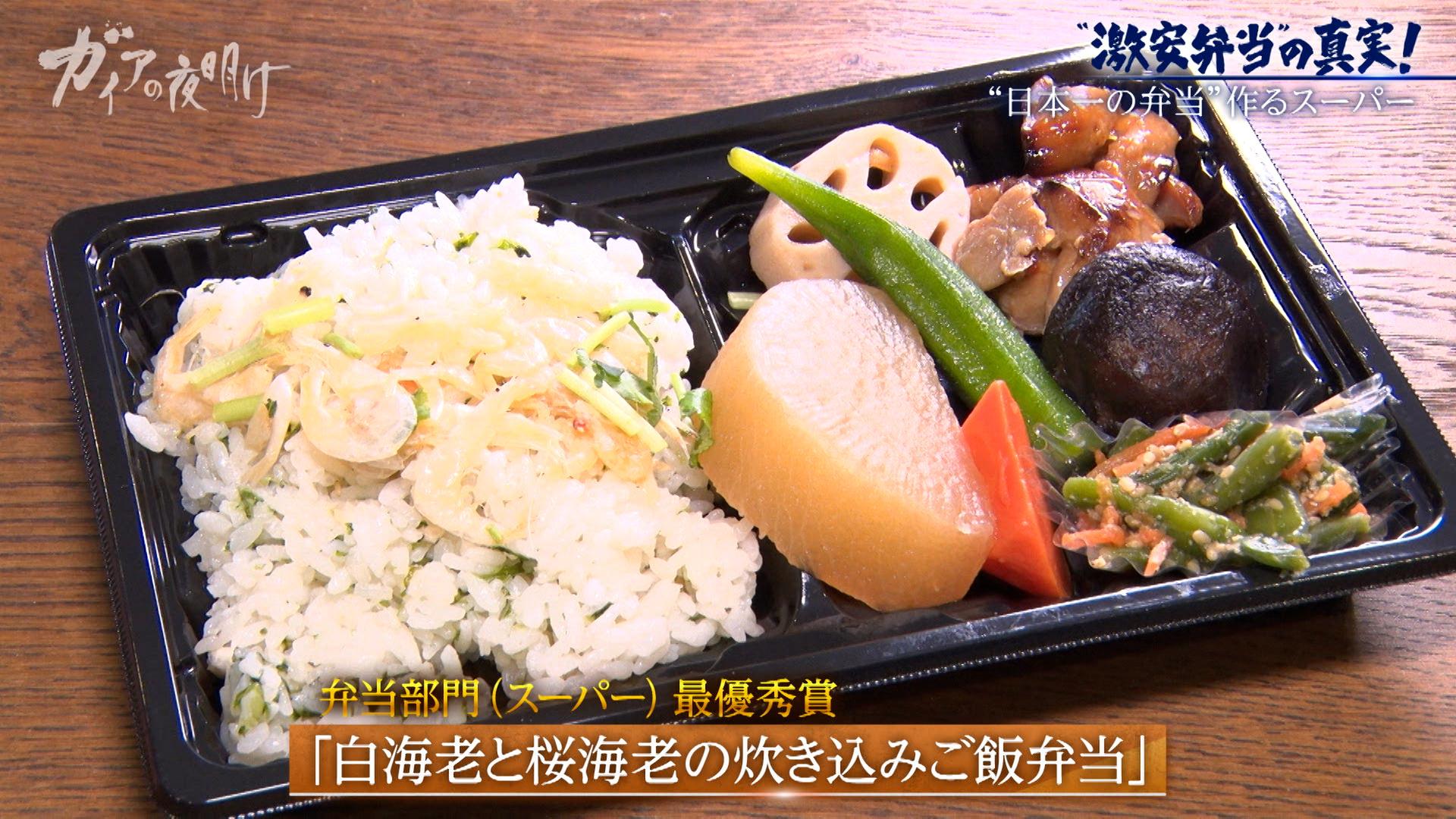 ガイアの夜明け